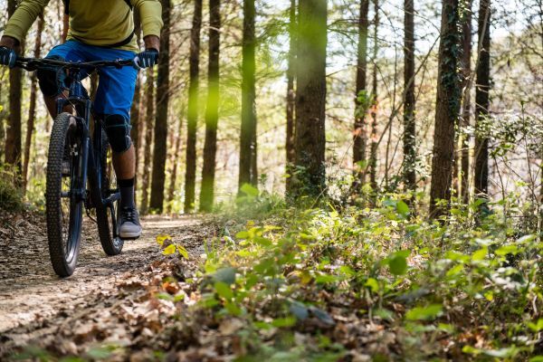 Mountainbike e-kerékpár erdőben